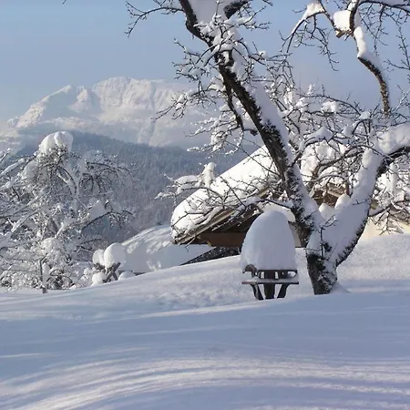 Apartamento Haus Schmiederer
